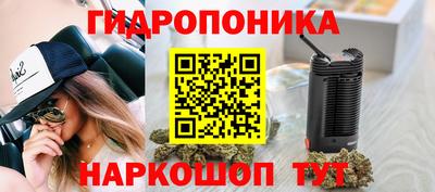 хмурый Гатчина